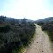 Trail Views at Los Peñasquitos Canyon Preserve