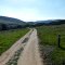 Trail Views at Los Peñasquitos Canyon Preserve