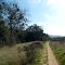 Trail Views at Los Peñasquitos Canyon Preserve