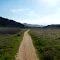 Trail Views at Los Peñasquitos Canyon Preserve