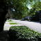 This was once Marilyn Monroe's front yard  - Vista Del Monte Ave, Sherman Oaks, CA