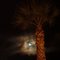 Jan 2006 - San Clemente, California. Palm and moon.