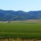 Beautiful California land....