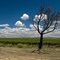 CA-101 landscape