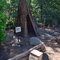 Gold Nugget Museum - Paradise, CA