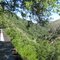 Paradise Flume