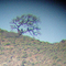 The Water Tank Pair, 2005, North Ridge Santa Cruz Island