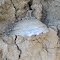 Santa Cruz Island Geology trip