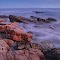 Rockin' the Coast