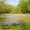 surgar creek, canoe launch, smiley mill dam
