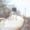 Grave in the middle of the road