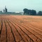 Indiana farmland - 199007LJW