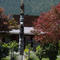 Zeballos Totem Pole 2005