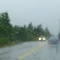 Downside of the Temperate Rainforest