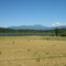 mount Arrowsmith