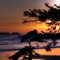 Cox Bay Sunset