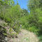 McQuarrie Creek Trail BC 03
