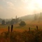 The Morning After the Fire Near Fruitvale British Columbia