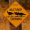 Caution Required....