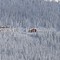 Baldface Lodge