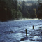 Salmon fishing on the Campbell River