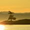 The Golden Hour in Glowland Harbour, Vigilant Islets