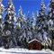 Winter Time