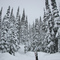 Marmot Trail - Whistler Mountain