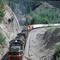 a long train beside the Hwy 99