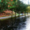 Weaver Creek Spawning Channel