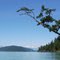 Harrison Lake-rope