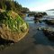 Pachena Bay, Bamfield