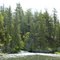 Tsuniah Creek
