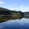 The lake - Quadra island