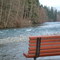 Puntledge Park