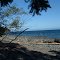Seal Bay Nature Park