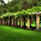 Garden Walkway