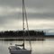 At Anchor - Comox Harbour