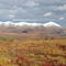 polar circle