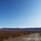 To the Arctic Circle a little more -Yukon-