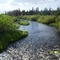 Dean River at Anahim Lake