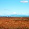 View from Highway 2 looking west near Azure, Alberta, Canada