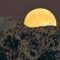 Moonrise over Golden Ears