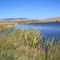 Douglas Range