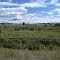 Douglas Range