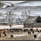 Douglas Lake Ranch