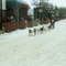 Canadian Challenge - from Prince Albert to LaRonge
