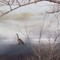 Birds on the River