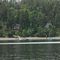 Parker Island, boat access only -- no ferries