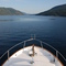 The good life